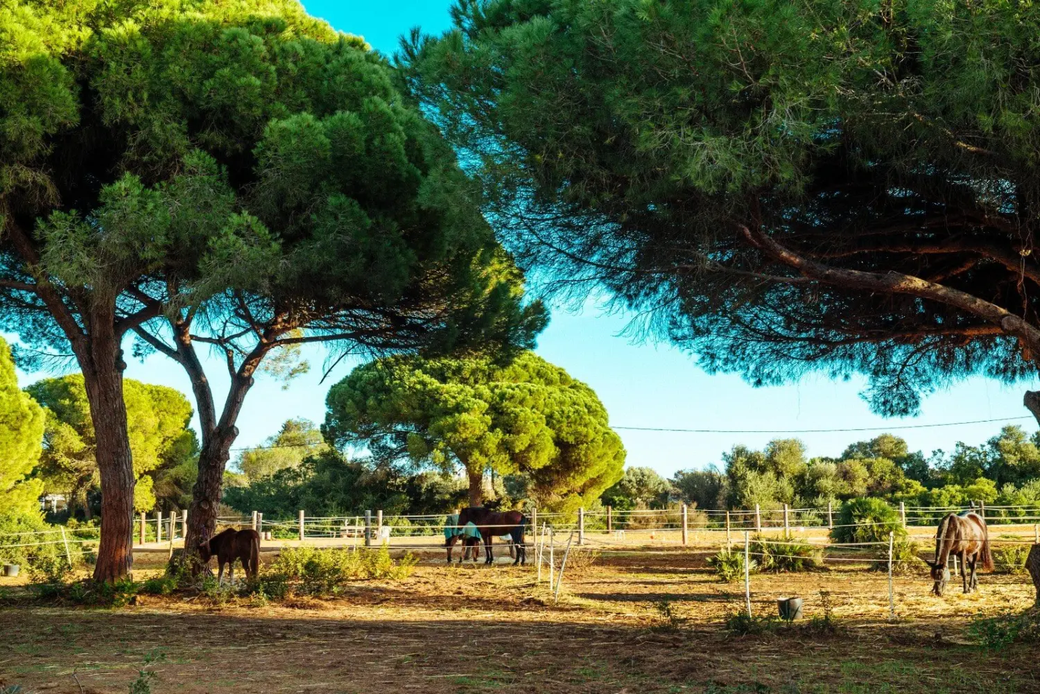Andalusien von Ewelina Yildiz