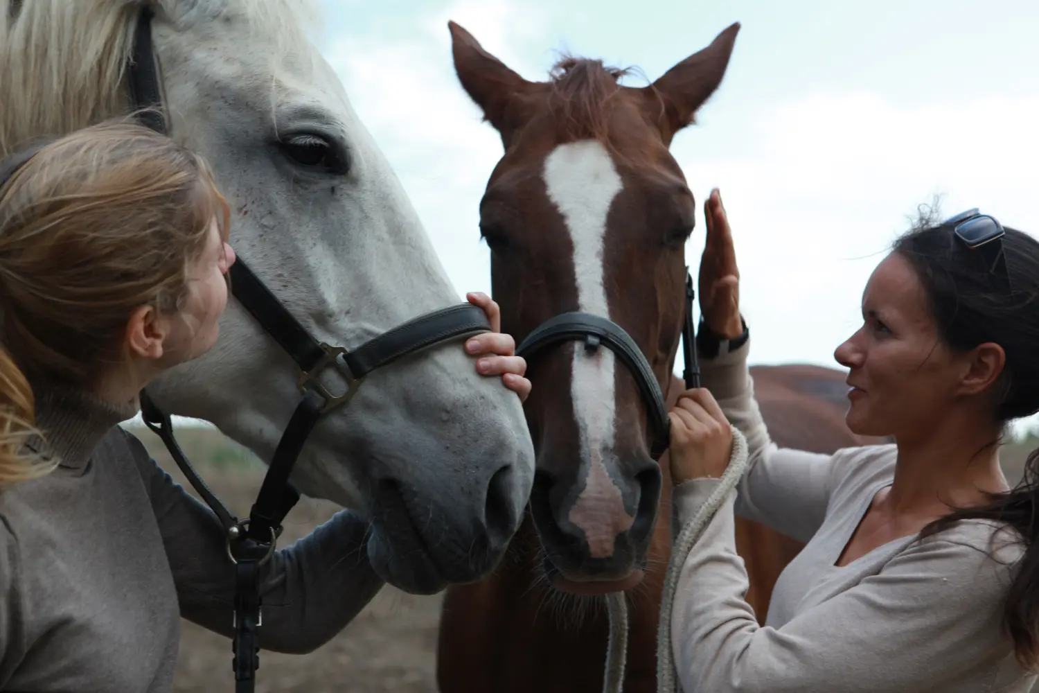Pferd und Dame von Ewelina Yildiz