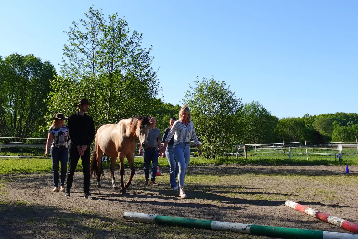 Gruppe von Menschen mit Pferd von HORSAYA 