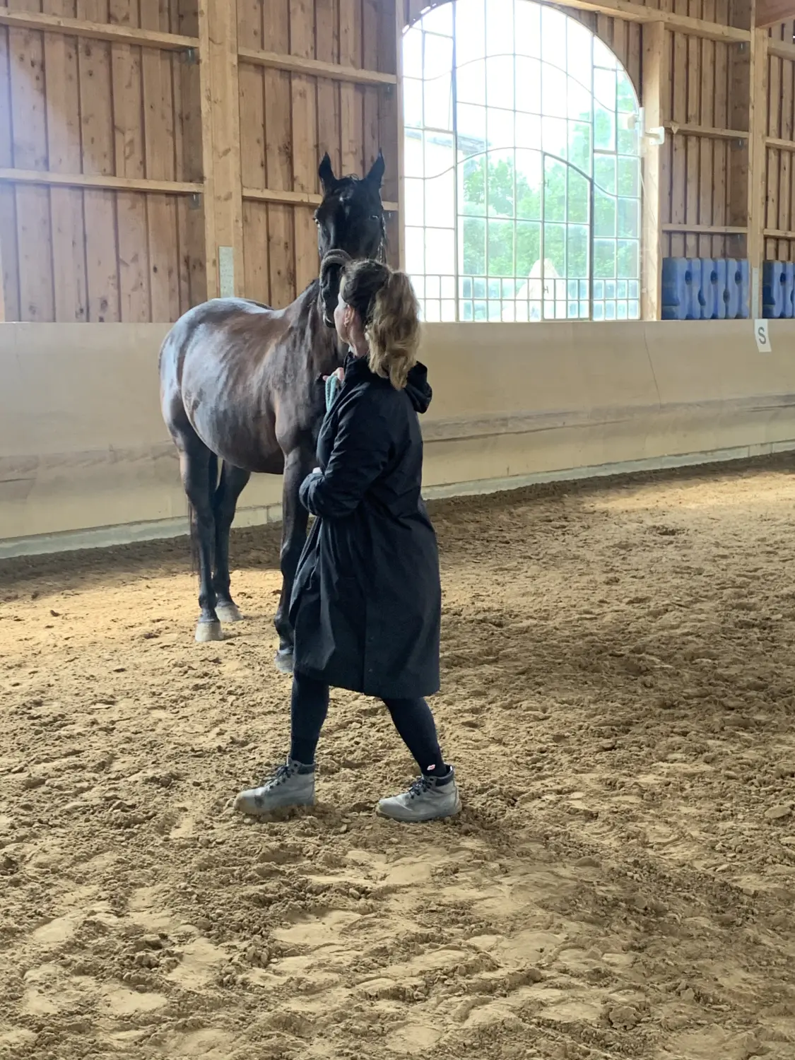 Pferd und Dame von HORSAYA 