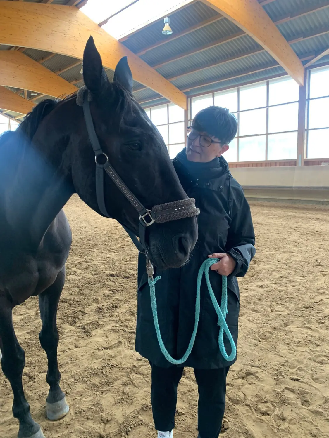 Pferd und Dame von HORSAYA 
