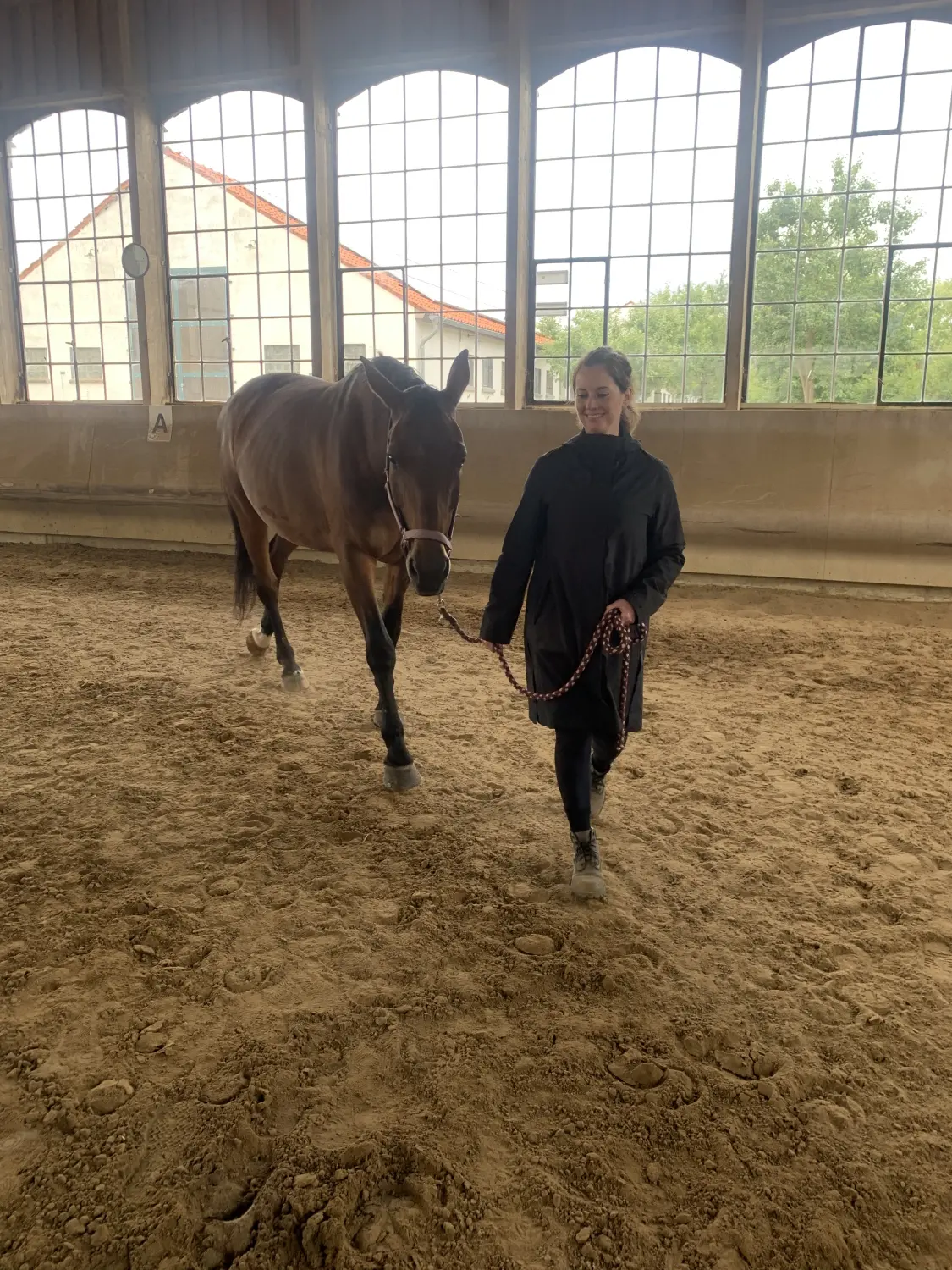 Pferd und Dame von HORSAYA 