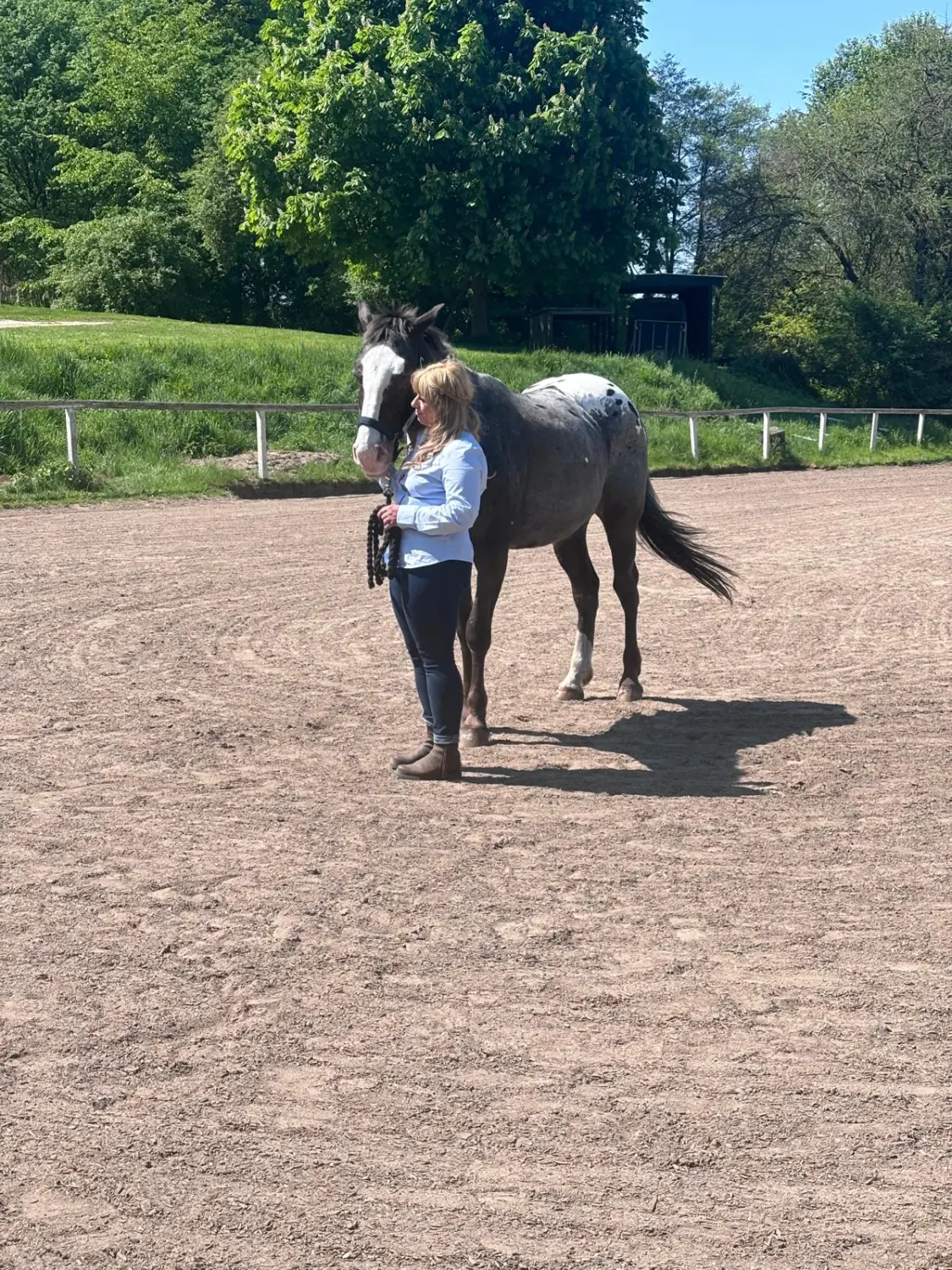 Pferd und Dame von HORSAYA 