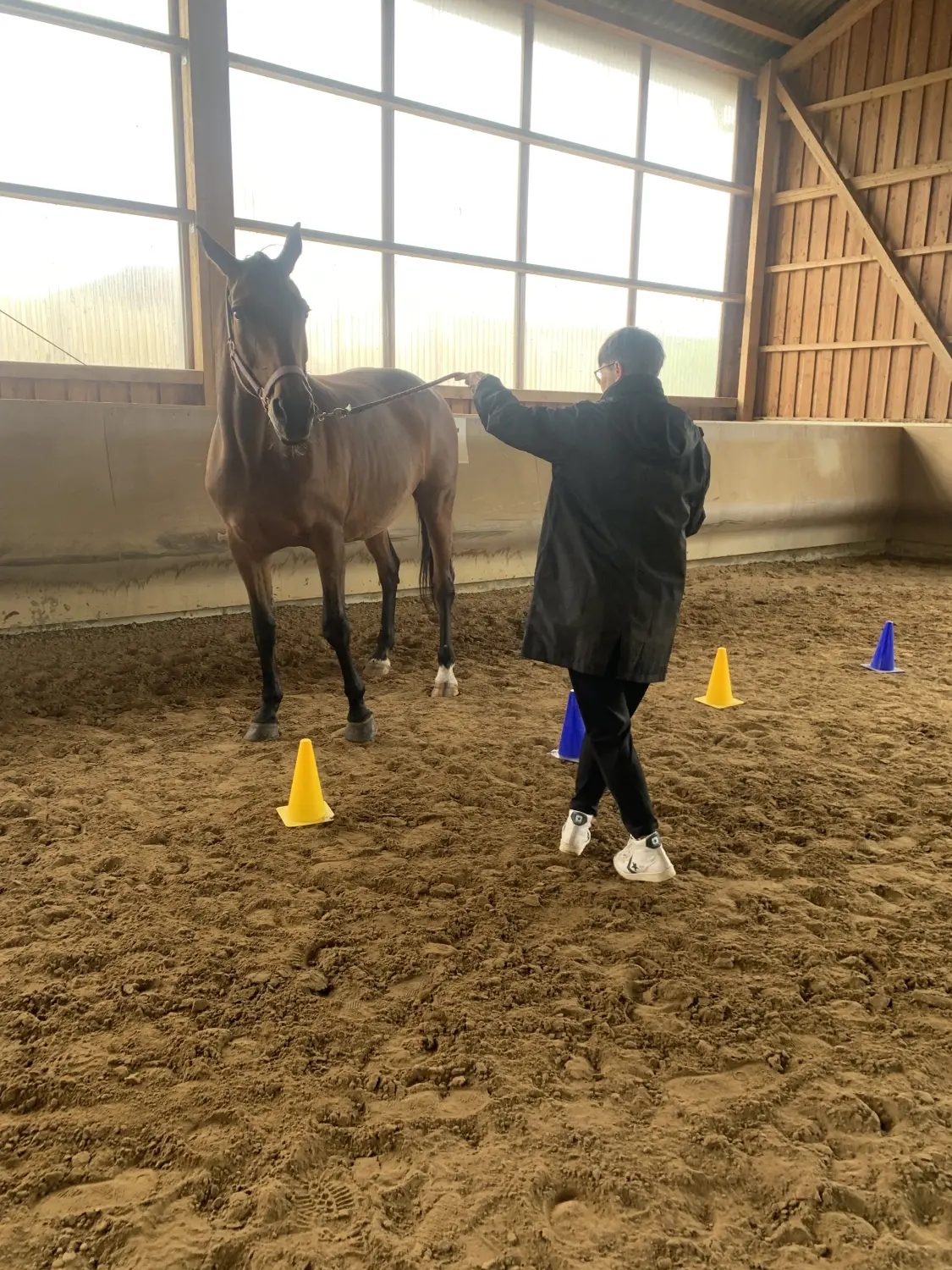 Pferd und Dame von HORSAYA 
