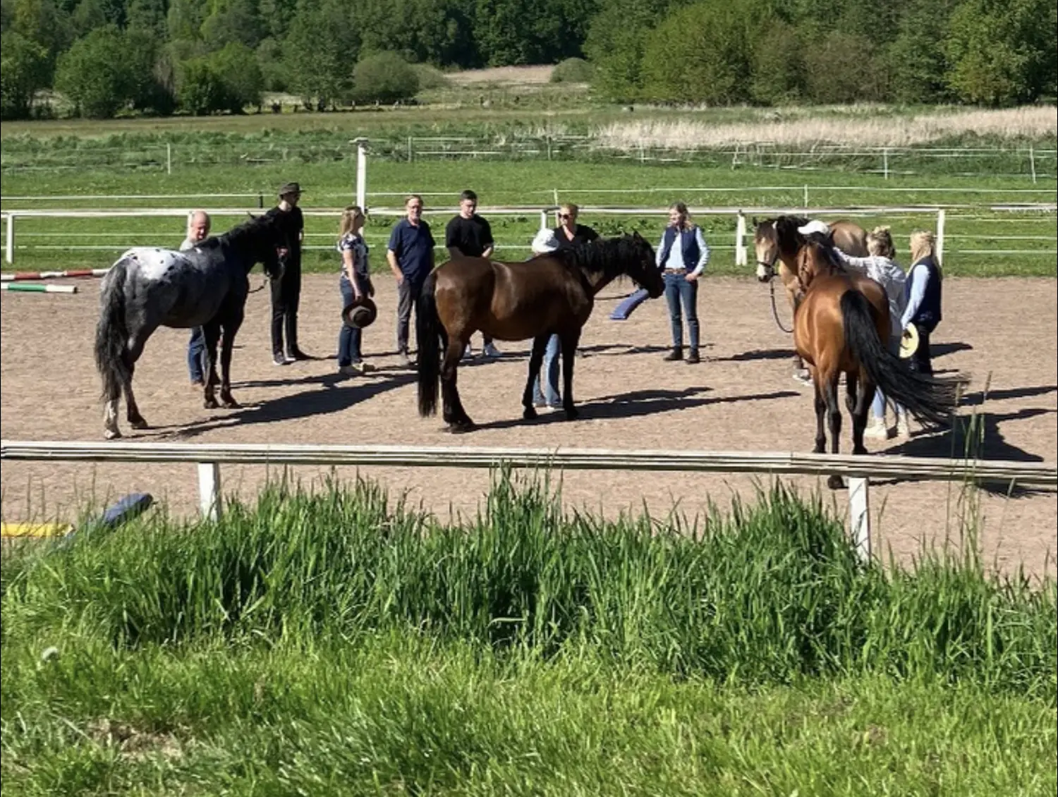 Gruppe von Menschen mit Pferd von HORSAYA 
