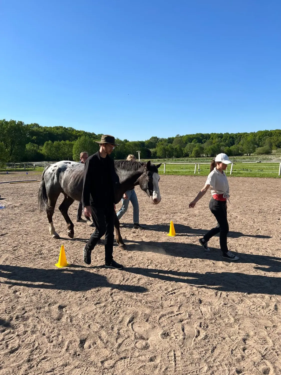 Pferd und Dame von HORSAYA 