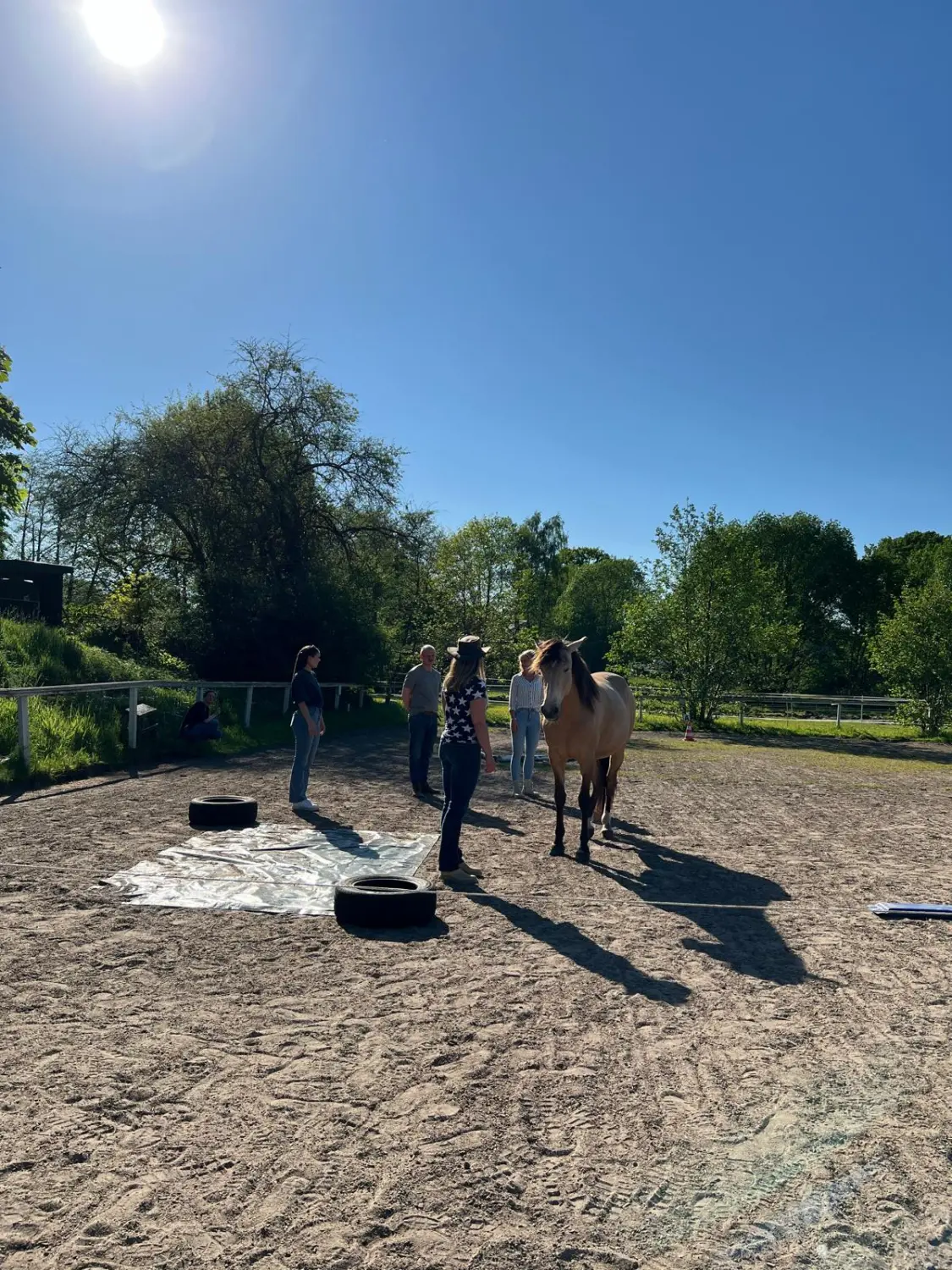 Gruppe von Menschen mit Pferd von HORSAYA 