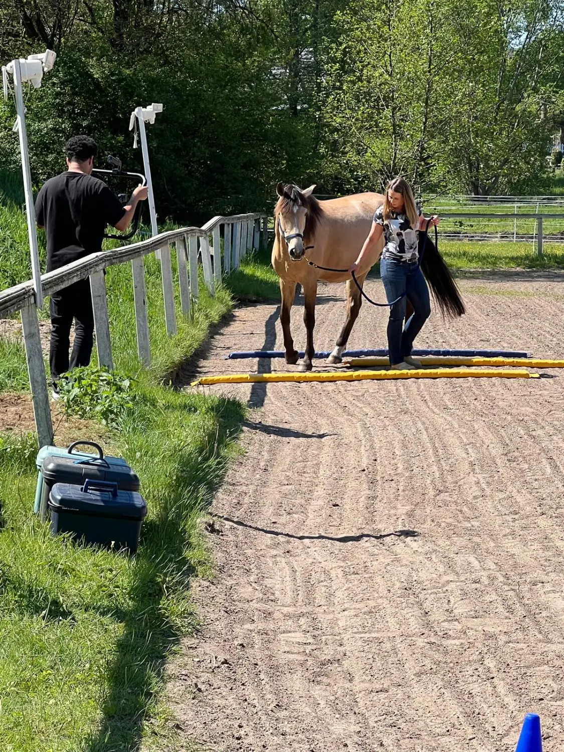 Pferd und Dame von HORSAYA 