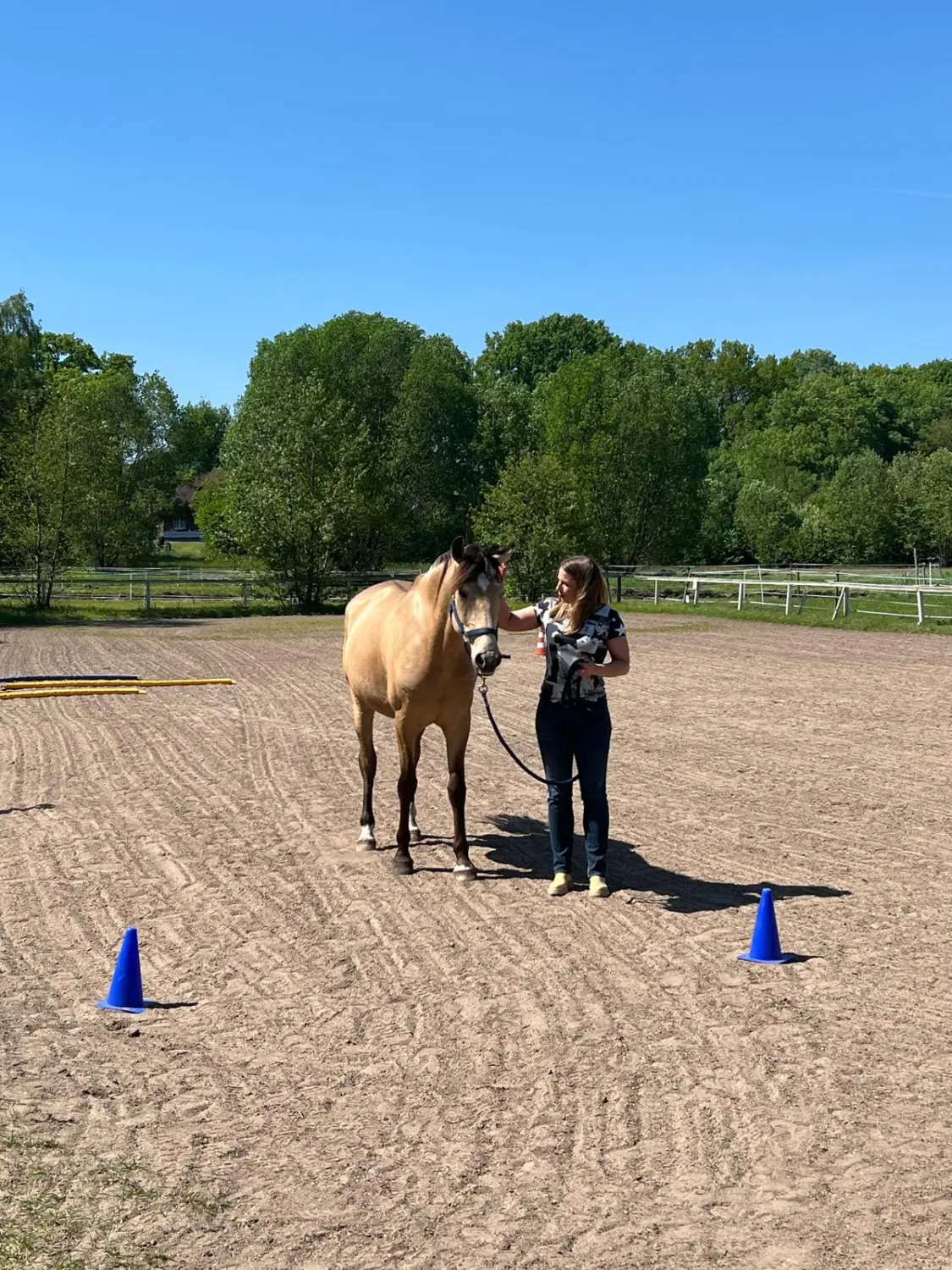 Pferd und Dame von HORSAYA 