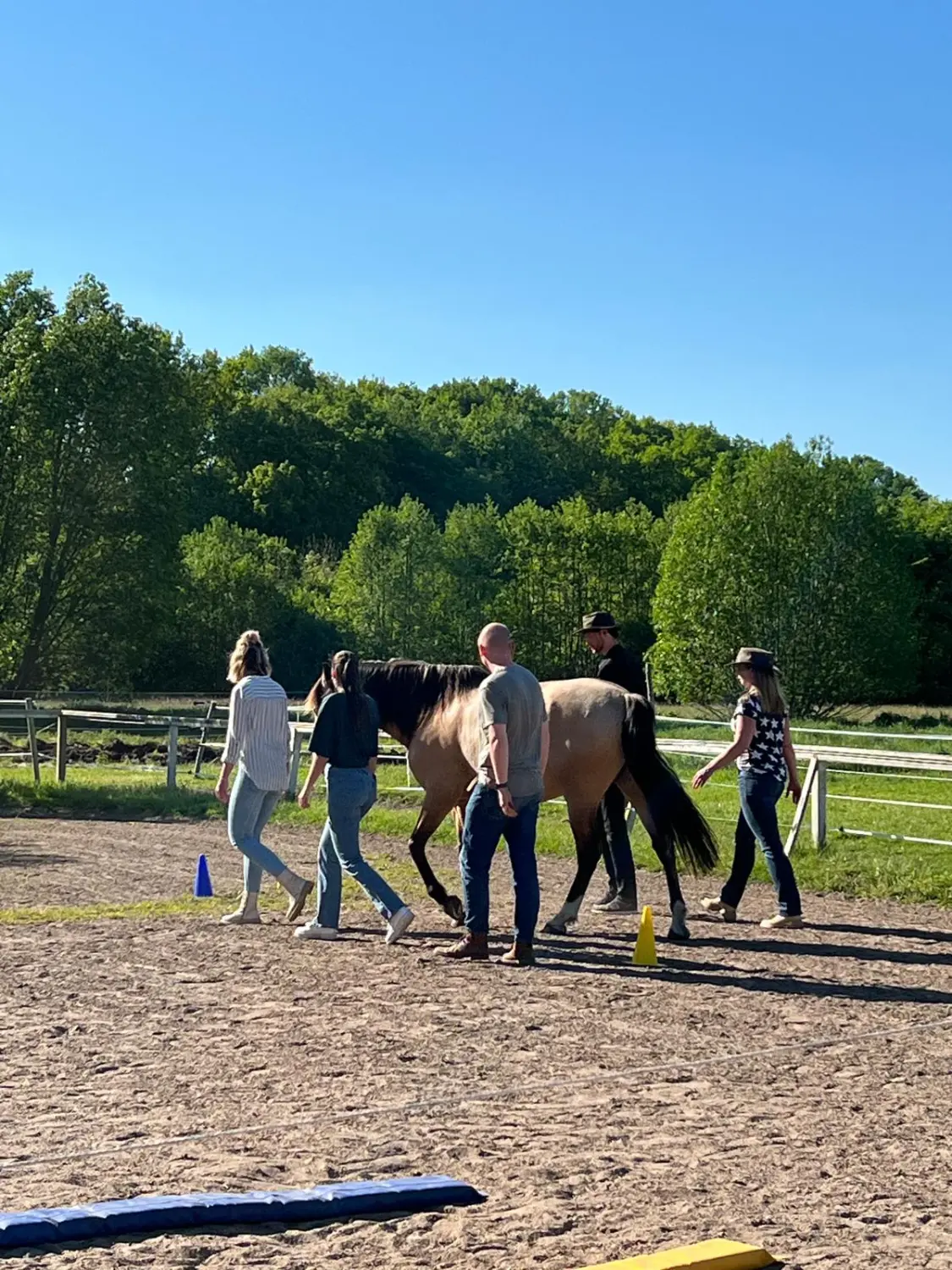 Gruppe von Menschen mit Pferd von HORSAYA 