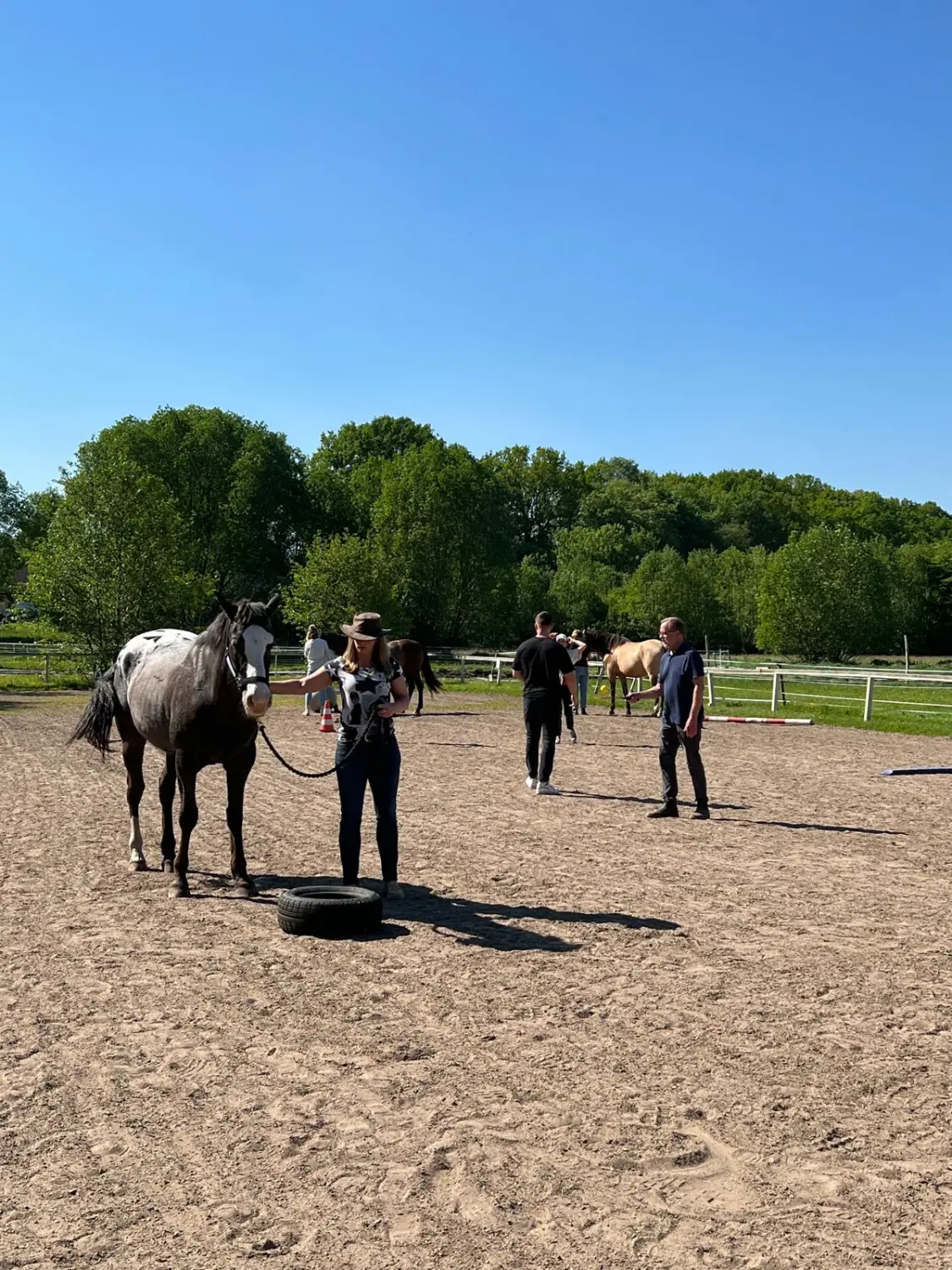 Gruppe von Menschen mit Pferd von HORSAYA 