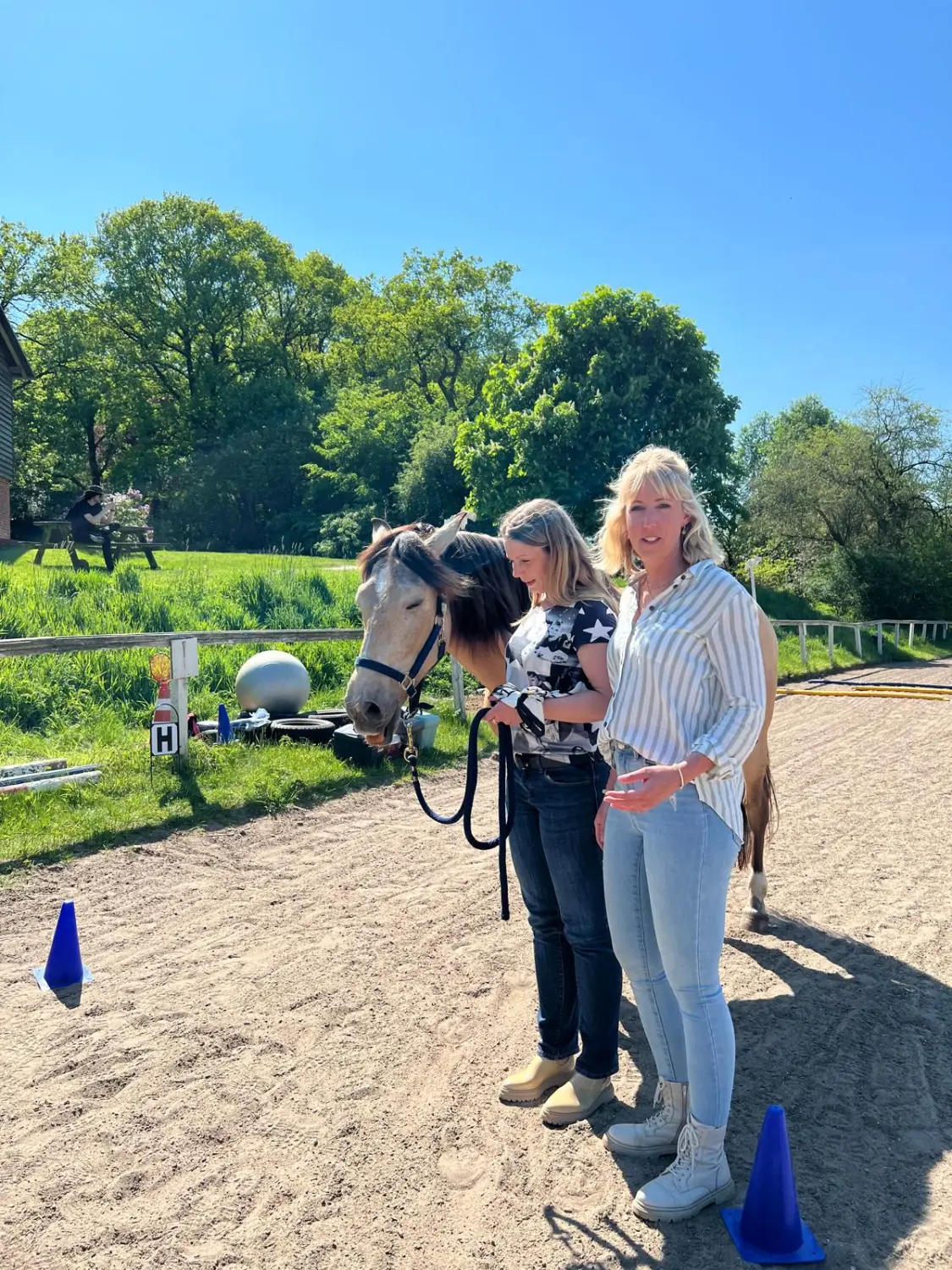 Pferd und Dame von HORSAYA 