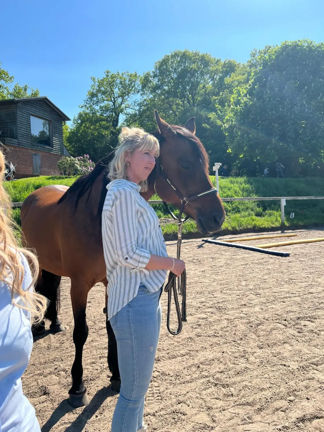 Pferd und Dame von HORSAYA 