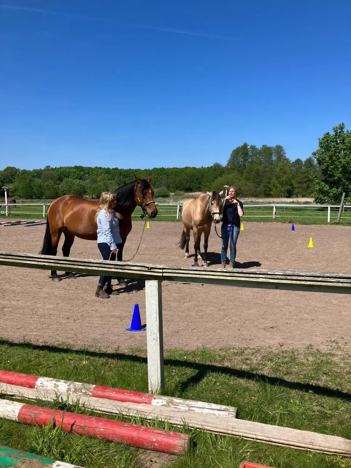 Gruppe von Menschen mit Pferd von HORSAYA 