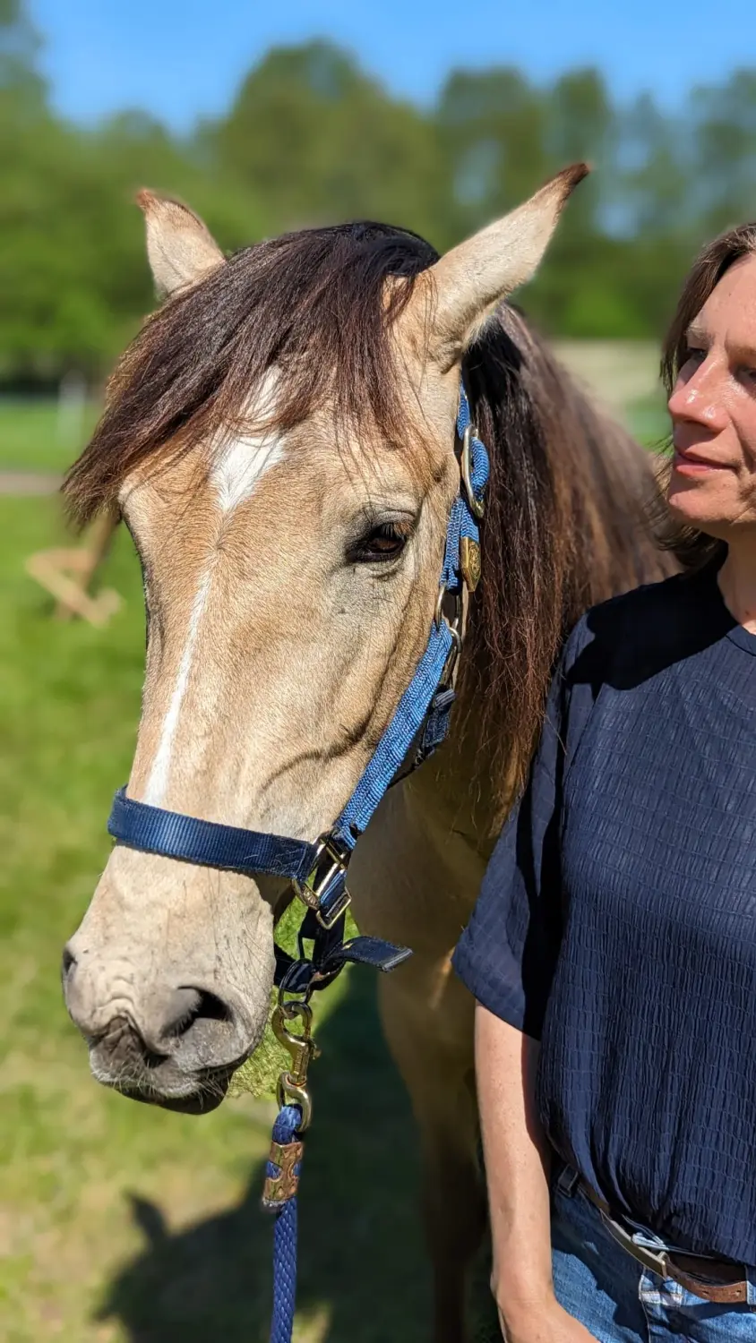 Pferd und Dame von HORSAYA 