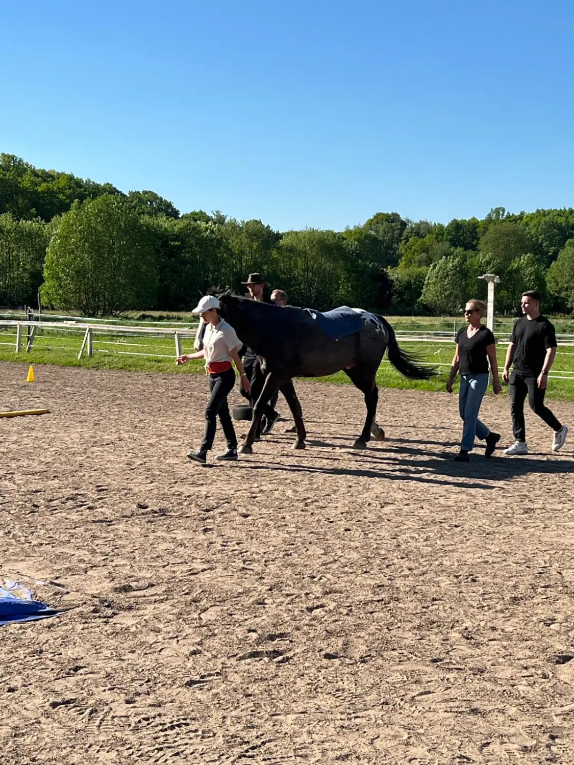 Gruppe von Menschen mit Pferd von HORSAYA 