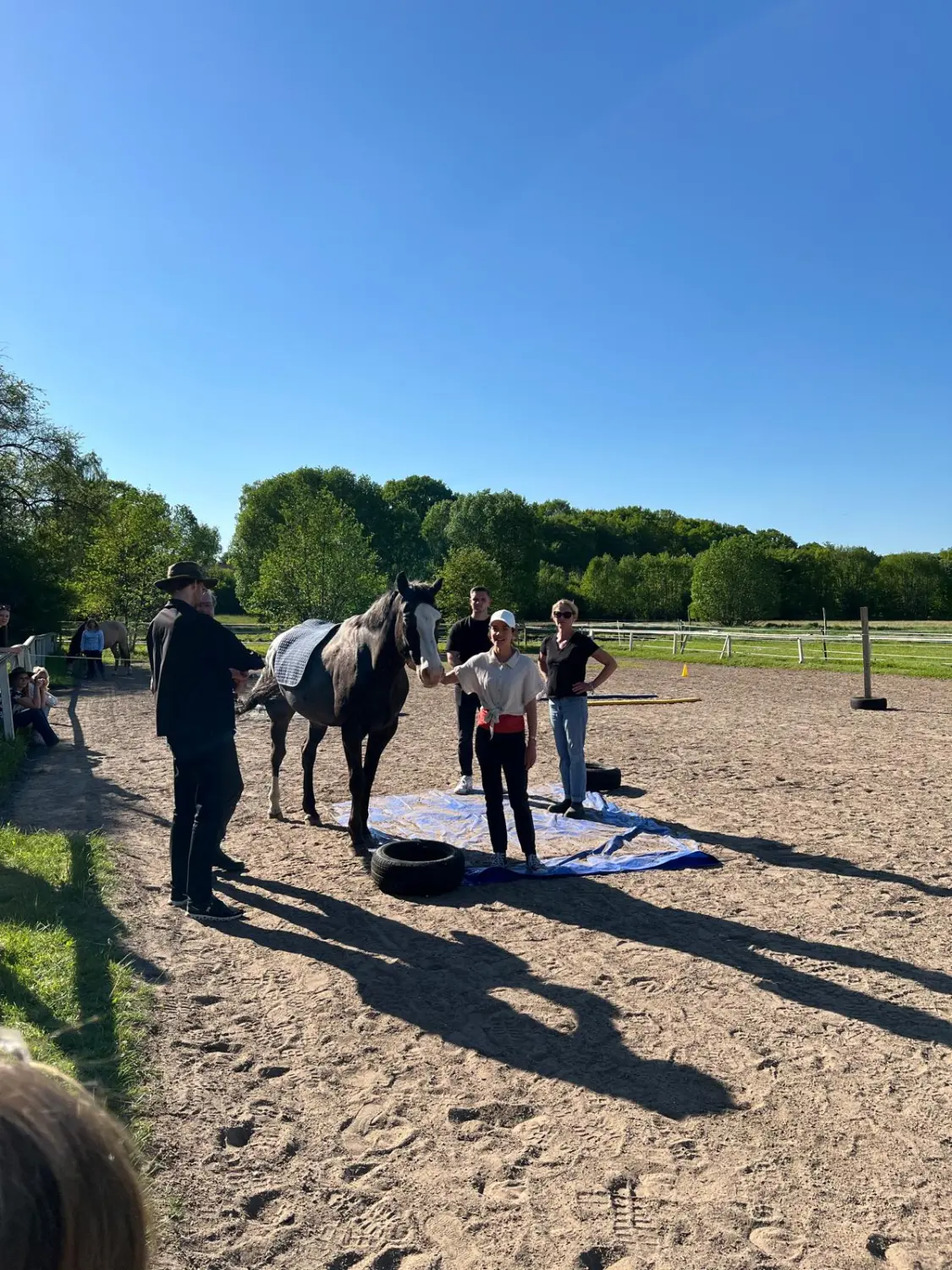 Gruppe von Menschen mit Pferd von HORSAYA 