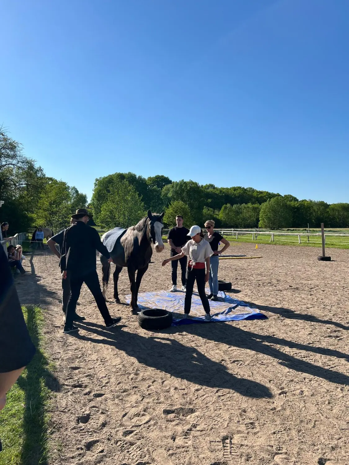 Gruppe von Menschen mit Pferd von HORSAYA 