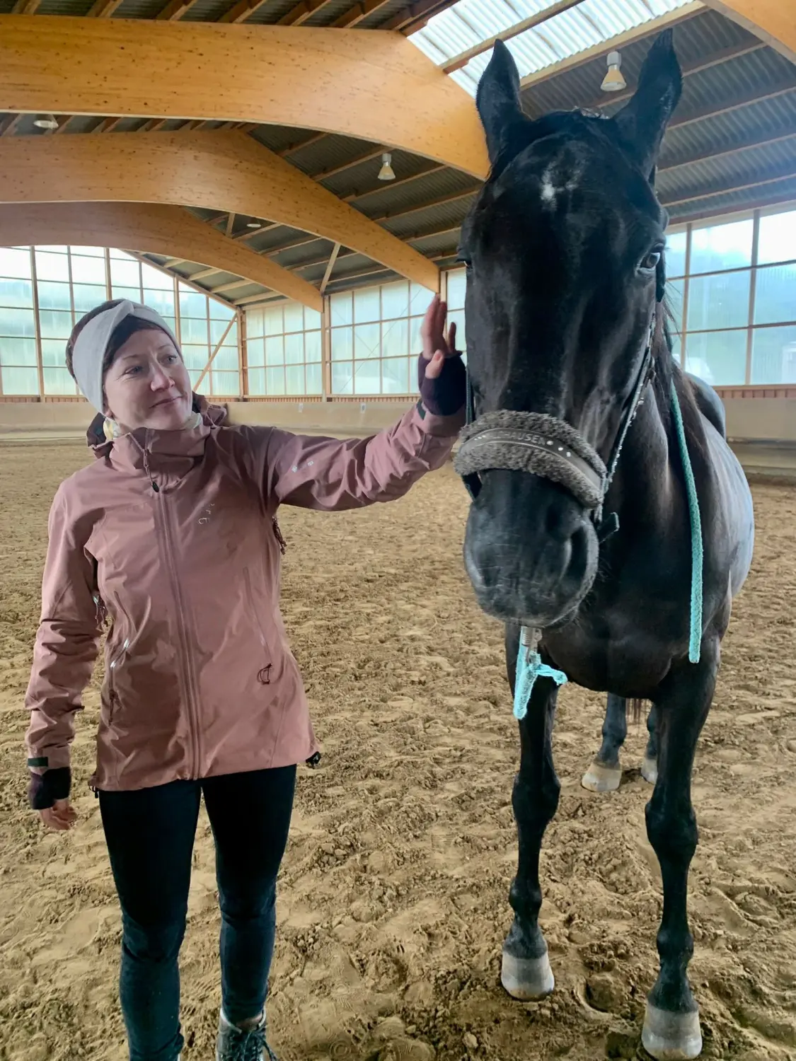Pferd und Dame von HORSAYA 