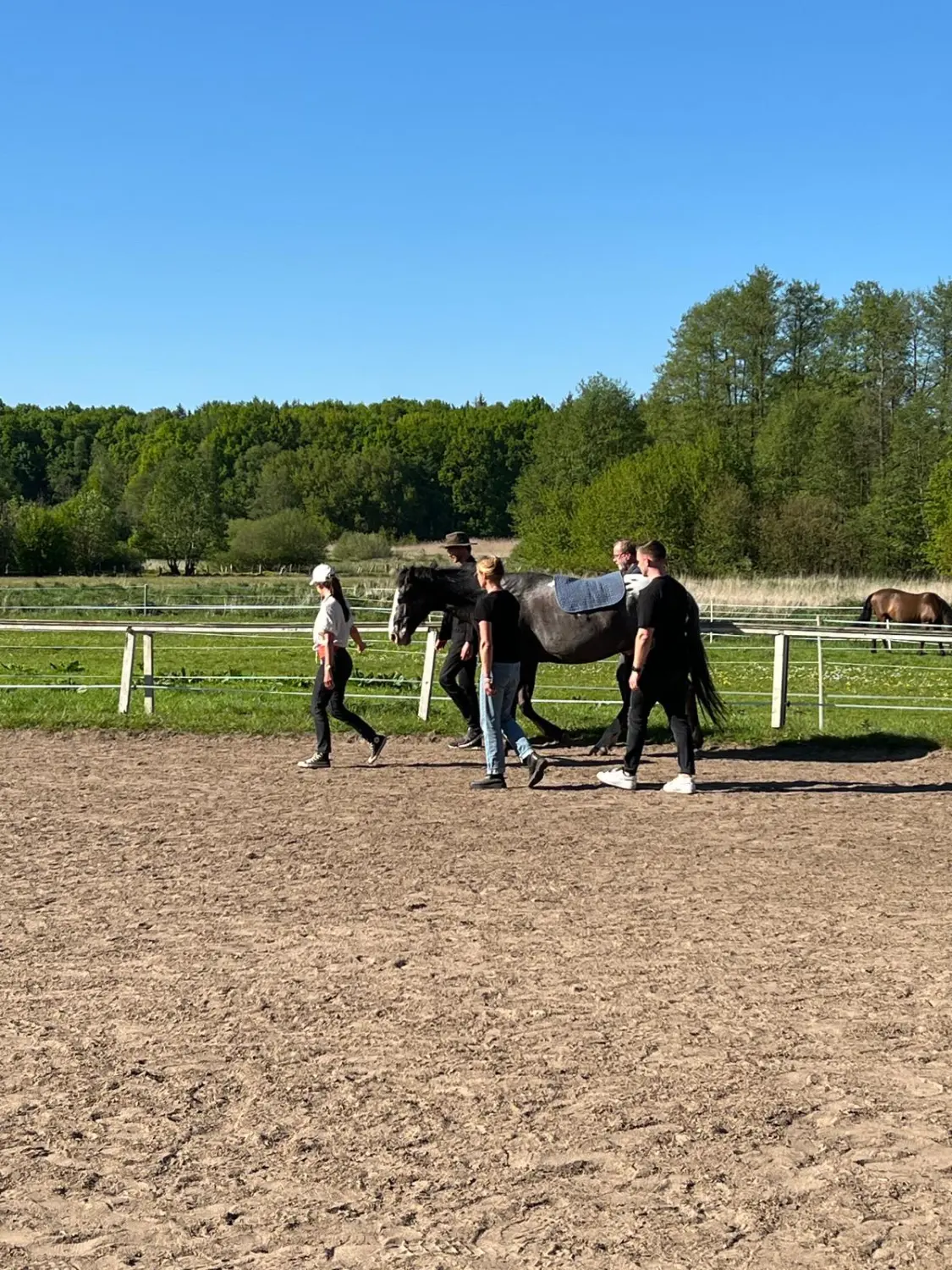Gruppe von Menschen mit Pferd von HORSAYA 