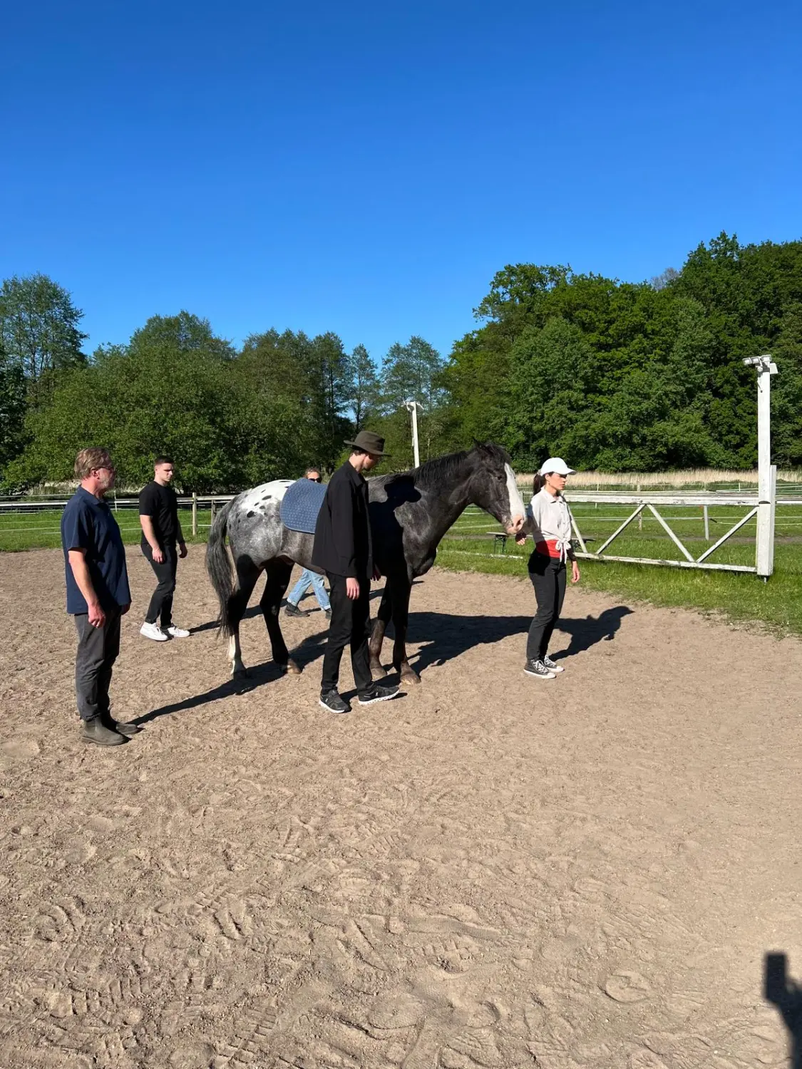 Gruppe von Menschen mit Pferd von HORSAYA 