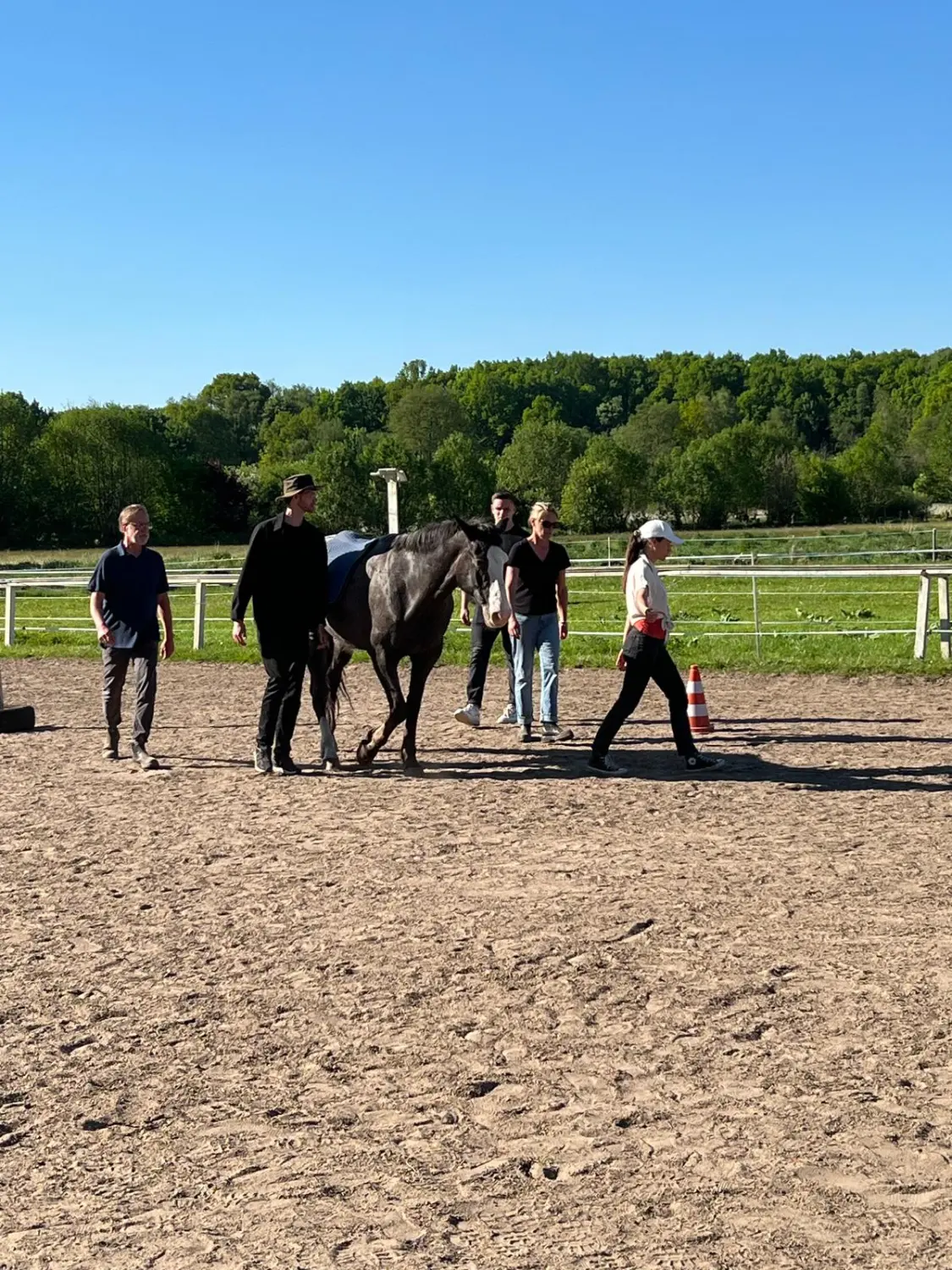 Gruppe von Menschen mit Pferd von HORSAYA 
