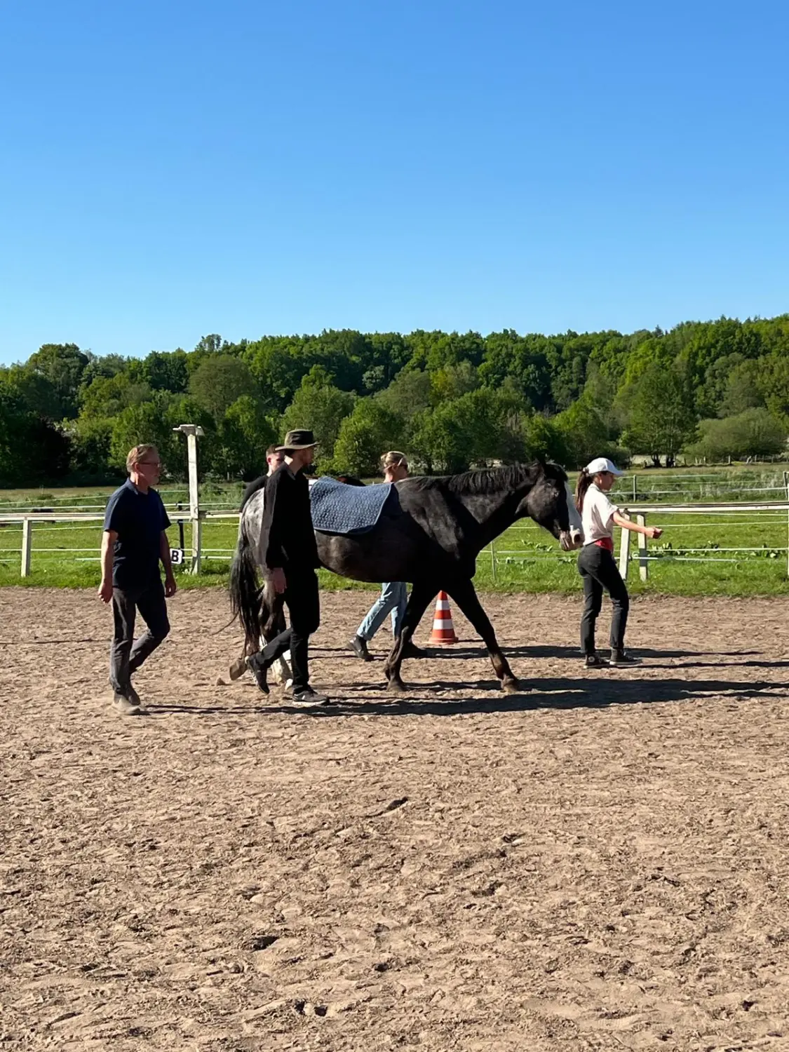 Gruppe von Menschen mit Pferd von HORSAYA 